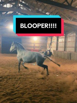 Yearlings gonna do what yearlings do… this one in particular is VERY playful. We laugh about it and move on! Best part about liberty is we are still working but allowing both of us to still have fun. #fabio #adira #duranciklibertyhorses #liberty #libertyteam #blooper 