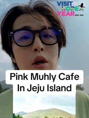 Jeju Island Cafe beautiful pink muhly #korea #korean #jeju #koreancafe #visitkorea #ImagineYourKorea #KTOxKenji #koreanwave #hallyu 