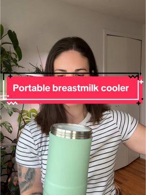 Keep your breastmilk cold without breaking the bank on a fancy car #PortableBreastmilkCooler #BreastmilkCooler #NewMomfinds #NewYearNewAura