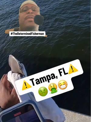 #greenscreenvideo #asmrmic #mic #fishing #holidayhaul #redtide #spill #disaster #sewage #tampa #florida 