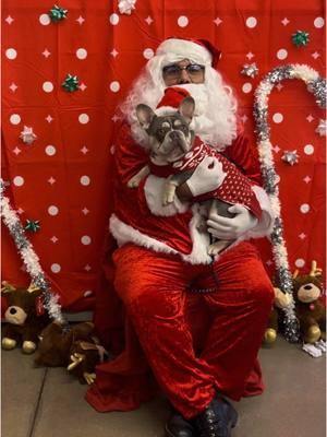 Conjeo’s first christmas🎄, so I had to take him to meet Santa🎅🏼 #santa #christmas #santalittlehelper #navidad #christmastree #firstchristmas #frenchiesoftiktok #frenchie #little #boy #mommyissues 