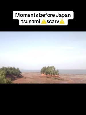 Thoughts?!😱 #tsunami #wave #ocean #scary #thalassophobia #scaryocean #naturaldisaster #foryoupage 