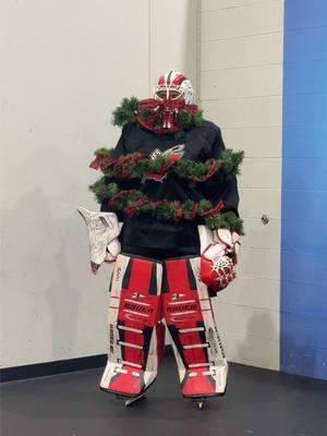 Tendy tree? Tendy tree 🙂‍↕️ #hockey #hockeyboys #hockeytiktoks #hockeytok #raleigh #northcarolina #nc #usphl #jrcanes #goalie #hockeygoalie #christmastree #christmas  inspo: @omahahky 