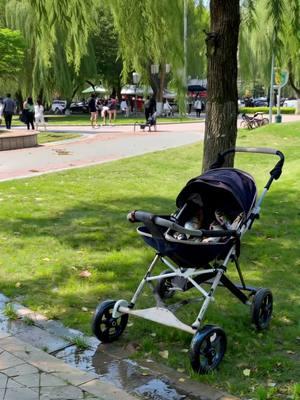 Out for a walk 😍 #parkday #stroller #weirdcore #fishy 