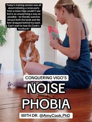 Today is the LAST DAY to join Dr. @Amy Cook, PhD ‘s noise sensitivity programme before it closes until June. If you have a noise phobic dog & want to learn the ins and outs of this protocol, now is the time to join.  Oh & shout out to the hole in my sock 😂  #dogreactivity #DogTraining #dogtrainingtips #dogtrainingadvice #dogmomaf #scareddog #dogrehabilitation 