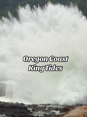 📍 Yachats, OR Round 2 of Oregon Coast King Tides put on a show!  #kingtide #kingtides #kingtides2024 #yachats #yachatsoregon #oregoncoast 