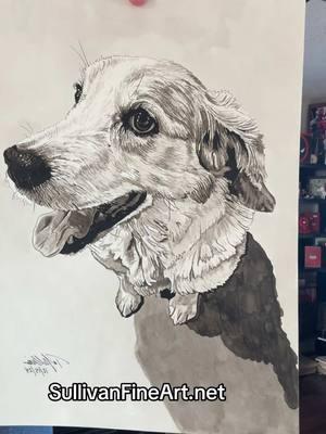 #pet #dog #dogs #sullivanfineart #sulbone #art #artist #ink #inkwash #painting #doglover 