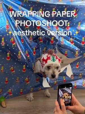 Here’s our aesthetic version of this silly trend 😜 (not very aesthetic at all) #wrappingpapertrend #dogphotoshoot #christmasdogs #fosterfail #dogs #doglovers #dogtok #distempersurvivor #puppytiktok #dogtrend #fyp #goldendoodle #foryourpage 