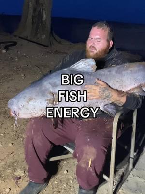 Big fish energy blue cats in the last 4 out of 5 streams 💪🏻🎣 #adventuretenting #bigfishenergy #landbeforetime #fishing #catchandreleasefishing #bluecatfish #letemgoletemgrow #bankfishing #catchandrelease #catfishing #angler #fisherman #nature #virginia 