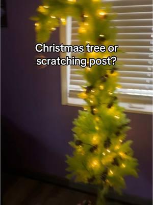 cant even be mad. im just glad my rug isnt being clawed at anymore lol #grinchtree #christmastree #christmas #tree #holiday #tree #xmastree #christmas 