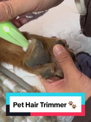 Pet Hair Trimmer 🐾 #pawcare #dogpaw #dogs #dogproducts #dogsoftiktoks 