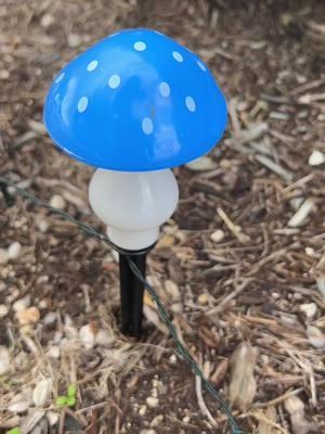 Check out these super cute mushroom solar lights @MWE gardening #solarlights #fyp #TikTokShopHolidayHaul #gardenlights #mushroomlights #solarlightsoftiktok 