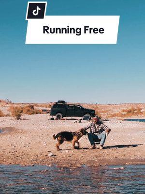 A place where dogs run free.. #adogslife #Outdoors #overlanding 