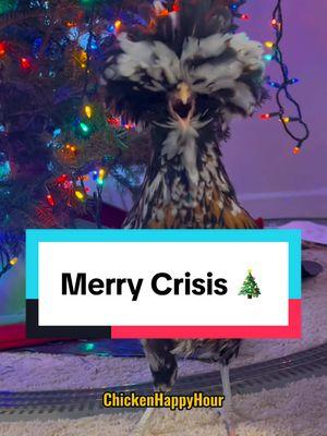 Merry Crisis 🎄 #merrychristmas #chickens #funnyanimals #chickenhappyhour  