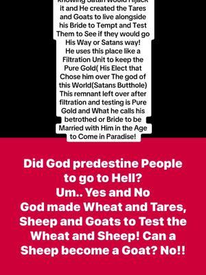 God lives and breathes outside of time and our dimension. How can Man know the Mind of God? #god #paradise #hell #destiny #calvinism #sheep #goats #wheat #tares #test #simulation #bride #mystery #question 