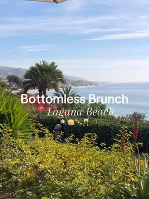 📍las brisas: Ok so If you go with 4 friends, use the @inKind app, just get the meal +bottomless it would basically be like getting the drink package for free! 👀  views here were absolutely stunning, the perfect OC weekend brunch spot! #orangecounty #lagunabeach #bottomlessbrunch #foodietok #resturantreview #ocfoodie #ocbrunchspot 