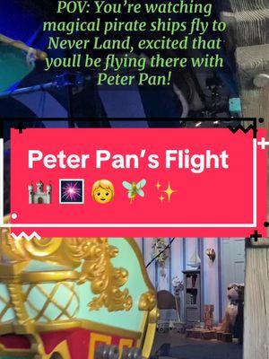 #fyp #disneyland #peterpansflight #peterpan #fantasyland #fantasylanddarkrides #disney #relaxing #pov #themepark #disneyparks #youcanfly #pirateship #waltdisney 