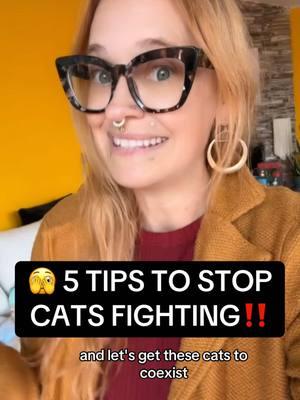 🫣 5 Tips To Stop Cats Fighting! . . . #cat #catbehavior #catbehaviour #catbehaviorist #certifiedcatbehaviorist #cats #catsofinstagram #behavior #kittybehavior #kitty #behaviour #behaviors #behaviorist #catsareawesome #ilovecats #cattraining #trending #catsoftiktok #cattok #fyp #foryourpage #badcat #badcats #badcatsoftiktok #badcatparent #catsarefunny #catsareweird #fypシ#catsarebetterthandogs #catsarethebest #wildatheartcats #wildatheart #catlover #catlove #catfight #catsfighting #kitten #kittens #kittentok #kittensofinstagram #introducingcats #kittenrescue #catrescue #catcare 