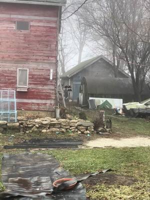 #bringing #down more #barnfinds whole its not #freezing  #sunday #barn #day  #stuff #theoldfarmstead #vintage #deer #tree #ceramictree #1977 #1972 #christmas #vintagechristmas #holiday #weekend #fruit #glass #plums #glassware #boot #ceramic #ceramics #decor #cedarchest 