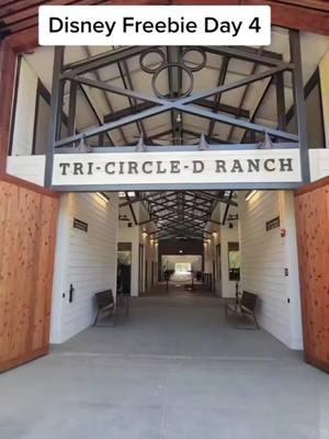 Disney Freebie Day 4. Visit Horses at Tri-Circle-D Ranch.  #disneyparks #disneyfree #disneyfreebies #wdw #freebie #distok #disneylife #disneyobsessed #disneytiktok 