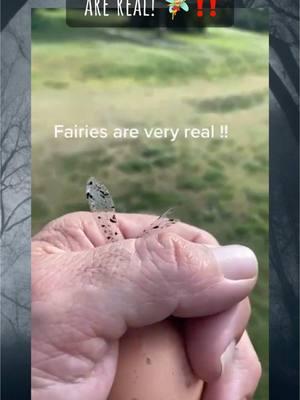 these videos will make you believe in fairies 😩🧚‍♀️‼️ #believe #fairies #fairy #fyppoppppppppppppppppppppppp #original #unitedstatesofamerica🇺🇸🇺🇸🇺🇸 #real #bugs #watchtillend 