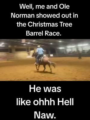 If You can't laugh at yourself then who else can... #fyp #foryou #mulesoftiktok #mules #muletraining #barrelracer #christmastreebarrelrace #barrelracer #cowgirlsoftiktok⚡️ #barrelracingtok 