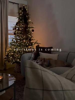 I love how cozy my home looks during Christmas time ❤️ #christmas #christmasdecor #chirstmasdecorations #christmascountdown #christmastiktok #cozylittlechristmas #cozyvibes #cozychristmas #christmastree #christmasnostalgic #naturalchristmasdecor #christmasiscoming #fyp #christmashomedecor #christmashome #christmasdecoratingideas 