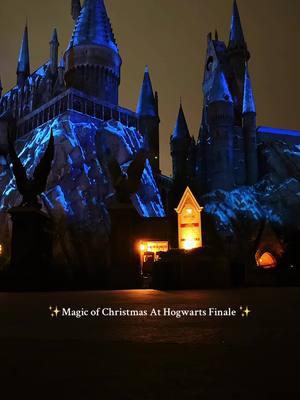 The Magic of Christmas at Hogwarts is such a magical show. Catch it every night over in Hogsmead  ✨🎄🎉  #universalorlando #universalstudios #universalislandofadventure 