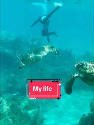 My weekend may look boring to you but the ocean is my happy place 🏝️  #mauihawaii #mauilife #turtletok #turtles #snorkeling #naturelover 