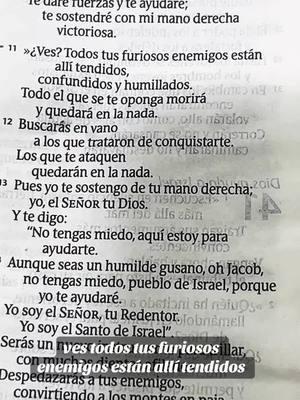 Isaías 41:11-16 #hagamosviralajesus #palabras #dios #fe #encristo #jesus #bendicionesparatodos #🙏❤️