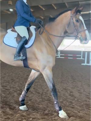 the iea show this weekend was so fun and i had a great time showing these horses! i drew ollie and remmie on day one and chica and enzo on day two #CapCut #viral #fypシ #horsesoftiktok #hunters #trend #zone8 