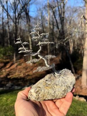 “Divergence” Tinned copper wire on stone 7”x5”x3” SOLD🔴 I’m so honored to say that this new form wire bonsai sculpture found an amazing new home today! My Holiday 20% OFF SALE is in full effect and people are taking advantage of it! ❤️🌲 Check out my website for my dwindling list of currently available works on sale until 1/1/25! Www.wirebyryan.com #natureart #localartist #wiretreeart #wire #wiresculpture #metalartist #metalartist #metalart #metalsculpture #wiretree 