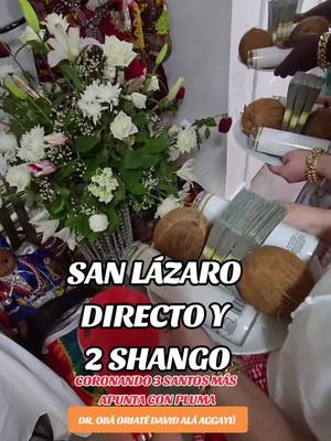 CORONANDO UN SAN LÁZARO DIRECTO Y DOS SHANGO. TERMINANDO EL AÑO SALVANDO AL MUNDO #davidalaaggayu #palomayombeespaña #palomayombemexico #palomayombe #orisa #orisaonline #profesor #escueladesanteria #escueladesanteria #espiritialidad #espiritismoporamor #botanicals #herbolaria #herbolario #espiritismo #espiritismoporamor #botanicaorishaade #davidalaaggayu #ifaenespaña #ifaencuba #ifa #santeria #santeriacubana #santeriaafrocubana #aleyo #hijosdeeleggua #hijosdeeleggua #hijosdeeleggua #hijosdeoggun #hijosdeogun #santeriacubana #santeriaafrocubana👑 #santeriamexico #santeriaentexas #santeriaenmiami #santeriaenespaña #santeriaenmexico #santeriaencalifornia #santeriaenvenezuela #palomayombeenperu #palomayombeespaña #palomayombeencuba #prendapalomayombe #palomayombeenusa #palomayombeentexas  #babalawos #Babalawo #ifaodara #Ifá #ifa #ifaorisha #ifacriollo #ifaisese #iseselagba #isese #apetebi #babalawosdemiami #babalawosenmiami #babalawosdelmundo #babalawosespaña #babalawosenargentina #babalawostatus #babalawosenmexico #babalawosenmexico #babalawosenpanama #babalawosenchile #babalawosenperu #aleyos #alejo #Santero #santeros #paleros #palomayombe #palo #Congo #apetebi #ifaonline 