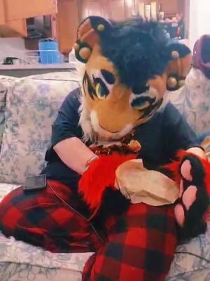 Cookie fiend 🍪 #furryfandom #furrytiktok #furrytok #furrysafeplace #furrysafespace #emofurry #emofurries #ohiofur #ohiofurry #furrymemes #furrymeme #furrymemesuwu #fursuitersoftiktok #tigerfursuit #tigerfursuiter #furrycommunity #fursuitfriday 