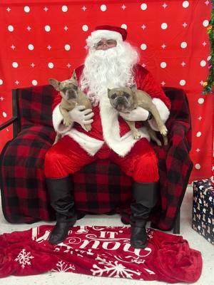 We decided to take our sam and benny to Santa at pet smart for there Christmas photo :) 🎄🎅🐾ps can’t forget mr toby he like being inside 🐈‍⬛ #pets #fyp #petsmartsantaphotos #foryoupage #cat #frenchbulldog #frenchiesoftiktok #furbaby #meow #christmas #merrychristmas #dog #petco 