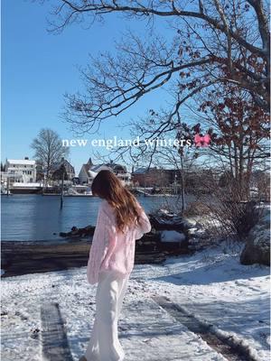 trying to romanticize it even tho its painfully cold 🥲🎀🐇☃️ #newenglandwinter #girlywinter #rhodeisland 