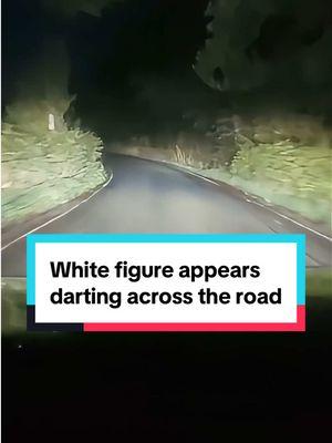 White figure appears darting across the road #Appalachia #creepypasta #appalachiantrail #appalachianmountains #supernatural  #scaringpeople #horrortiktok  #scaryvideos #creepytok  #haunted  #horrorgame  #skinwalker #horrortiktok  #conspiracy #misterio #paranormalactivity  #creepytok #historiasdeterror #horrorstory  #truecrimetiktok  #scarytiktok #hauntedtiktok #paranormaltiktok  #scarystories  #wendigo #skinwalkervibes #capcut #ghost #supernatural #CapCut 