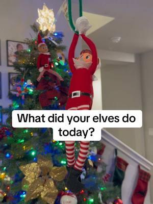 Elf on the Shelf #teamtevault #fyp #elfontheshelf #kids #holidays #elfontheshelfideas #christmas 