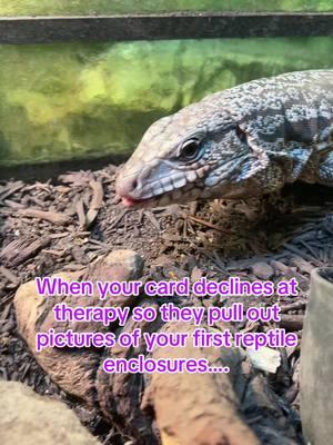 Reminder that care info is always changing and as keepers, its our job to stay up to date and make husbandry changes as needed! #tegu #animal #pets #reptile #snake #gecko #reptilemom #ballpython #properanimalcare #leopardgecko #beardie 