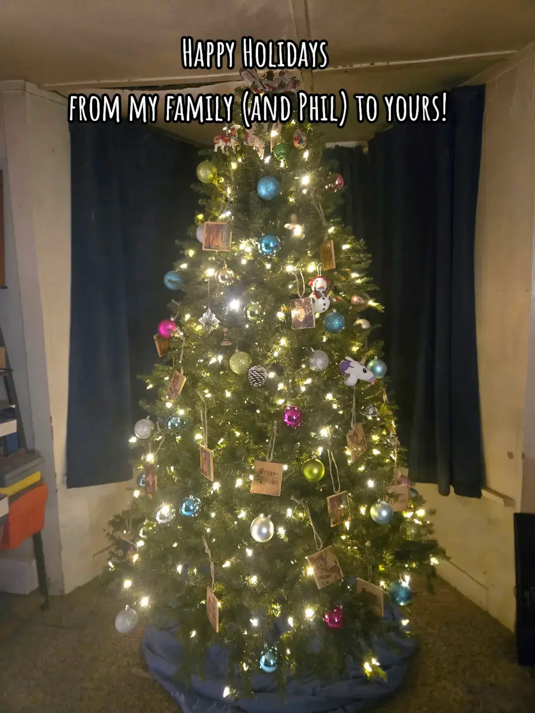 Happy Holidays to you and your family  from my family, and Phil the Christmas skeleton #Holidays #Tree #EggsistentialFarm #PhilTheChristmasSkeleton #ChristmasSkeleton 