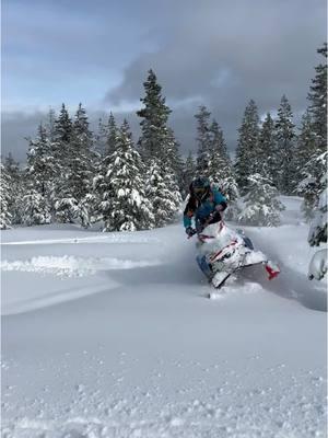 First shred of the season #sled #lynx #snowmobile #509 #brp #snow #oregon #ggbexhaust 