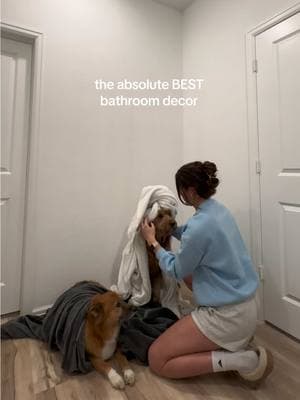 I mean…. c’mon! By far the best photos ive ever taken 😍 #bathroomdecor #dogmom #bathroominspo #bathroomideas #dogmomsoftiktok #bathroommakeover #doodlesoftiktok #diyhomedecor #doglover 