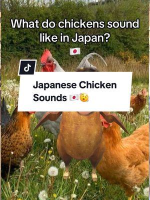 Different sounds in Japan and Mexico / Usa 🇯🇵🇲🇽🇺🇸😱😅 @japonesayano  #japonesayano #japones #latinostiktok #japonesa #japan #cultureshock #japon #mexico #fyp 