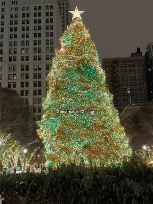 this is ur sign to visit chicago! #chicago #enjoyillinois  #downtownchicago #travel #holiday #christmas #christmas2024 #trend #viral #viralvideo #trending #milleniumpark #thebeanchicago #thebean #michiganave 