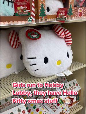 Best believe I bought something🎅🏻🎄🫶🏻 ##hellokittylover##hellokittyhaul##fypage##hobbylobbyfinds##hobbylobbychristmas##hobbylobbydecor