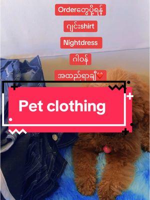 #toypoodle #petlover #fyp #petclothing #maykyuu #fypシ #petwear 