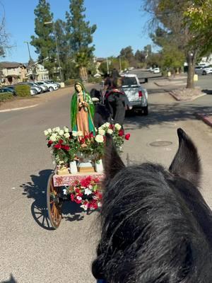 Festejando a nuesta virgen de Guadalupe 💐 #lindodia❤️🌹 #caballosbailadores #virgendeguadalupe #mujereschingonas💪🏻❤️ #cabalgatasdecaballo #parati#tictokv #caballoiberocostarica 