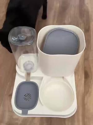 Arsthetic pet feeder #petfeeder #giftguide #petgifets #TikTokShop 