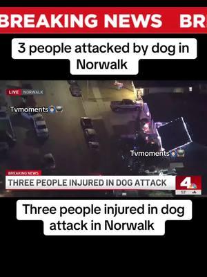 Dog attack three people in Norwalk #breakingnews #california #norwalk #losangeles #losangelescounty #dogattack #doglover #dogsoftiktok #dogattacks #fyp #fypシ #viral #viralvideo #tvmoments🙆🏻‍♂️📺  