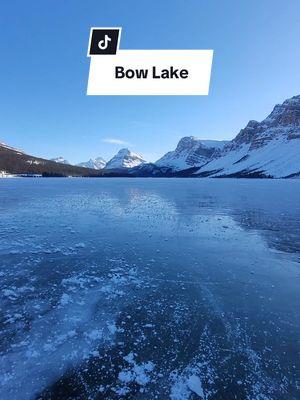 A perfect afternoon on a very frozen Bow Lake 😍 ice-skating anyone? #banff #canada #bowlake #frozenlake #paradise #winteradventures 